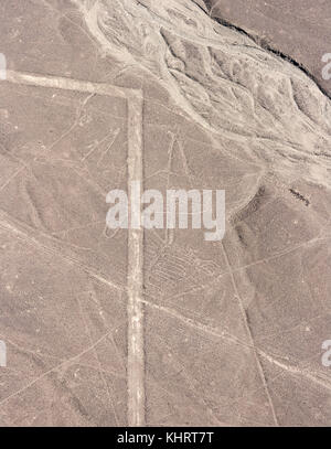 Luftaufnahme der spektakulären Nazca-linien, Peru Stockfoto