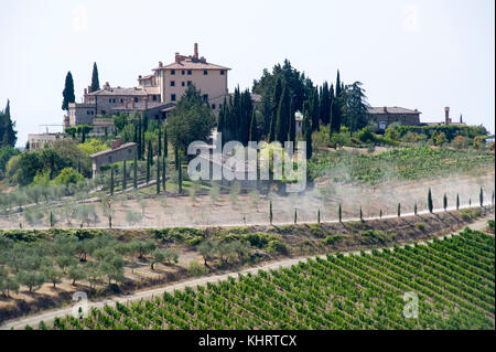 Weinberg in der Nähe von Gaiole in Chianti, Toskana, Italien. 28. August 2017 © wojciech Strozyk/Alamy Stock Foto Stockfoto