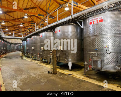 Wein Verarbeitung in einem Weingut in Bulgarien. Stockfoto