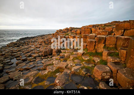 Abend am Giants Causeway County Antrim Nordirland uk Stockfoto