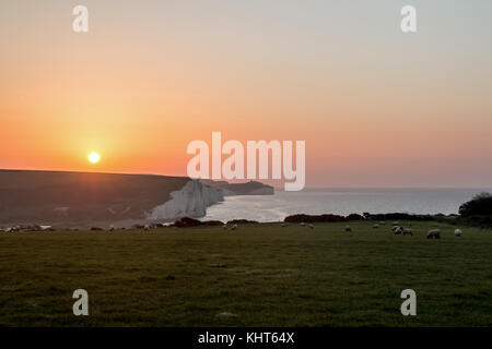 Sonnenaufgang über die sieben Schwestern Kreidefelsen in East Sussex, England. Stockfoto