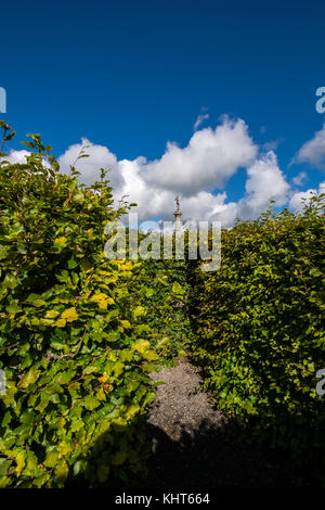 Bei Russborough House, Blessington, County Wicklow, Irland Labyrinth Stockfoto