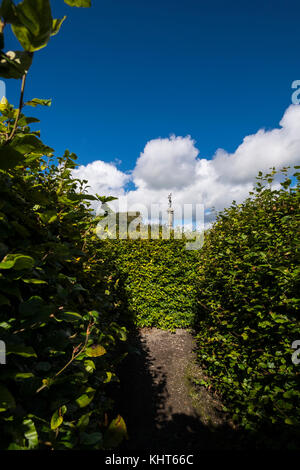 Bei Russborough House, Blessington, County Wicklow, Irland Labyrinth Stockfoto