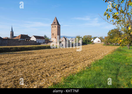 Mittelalterliche Stadtmauer mit donjon, Dorf niedernai, Elsass, Frankreich Stockfoto