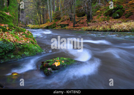 Mountain River mit niedrigem Wasser, Kies mit bunten Buche, Aspen und Ahornblätter. frisches Grün bemoosten Steine und Felsbrocken auf dem Fluss Bank nach Stockfoto