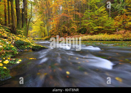 Mountain River mit niedrigem Wasser, Kies mit bunten Buche, Aspen und Ahornblätter. frisches Grün bemoosten Steine und Felsbrocken auf dem Fluss Bank nach Stockfoto