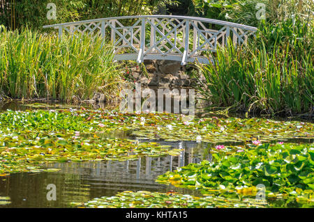 Fußgängerbrücke über den Seerosenteich in den Royal Tasmanian Botanical Gardens im Queens Domain - Hobart, Tasmanien, Australien Stockfoto