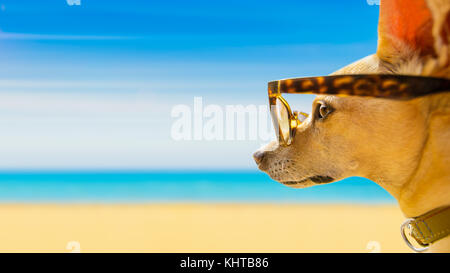 Chihuahua Hund aufpassen und Blick auf den Strand und das Meer tragen lustig Sonnenbrille, auf Sommer Urlaub Stockfoto