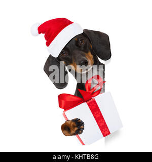 Lustige dackel Wurst santa claus Hund auf Weihnachten das Tragen der roten Urlaub hat, auf weißem Hintergrund, hinter einer Fahne oder Blackboard pl Stockfoto