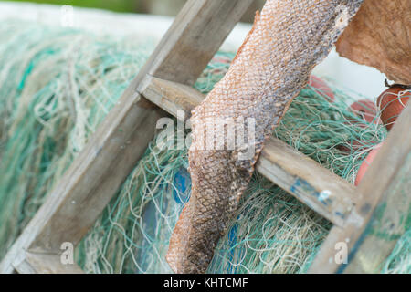 Einen getrockneten Fisch Stockfoto