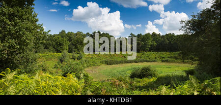 Großbritannien, England, Norfolk, die Brecks, Croxton, The Devil's Punchbowl, natürlicher Kreide phenomenta in Thetford Forest, Panoramablick Stockfoto