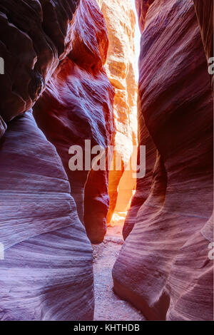 Schmalen Slot Canyon Kabel weitergeben, die in Buckskin Gulch, paria Canyon - Vermilion Cliffs Wilderness, nahe dem Utah - Arizona Grenze, im südlichen Utah, Einheit Stockfoto