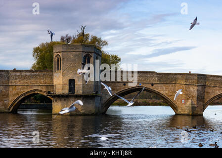 Fluss Great Ouse mit dem mittelalterlichen St Leger Kapellbrücke in St Ives, Cambridgeshire, England, UK. Stockfoto