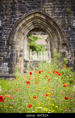 Ein Bogen ehemalige Türrahmen auf Whalley Abbey Ruinen steht, wilden Blumen in Ribble Valley Lancashire wachsende Stockfoto