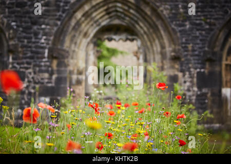 Ein Bogen ehemalige Türrahmen auf Whalley Abbey Ruinen steht, wilden Blumen in Ribble Valley Lancashire wachsende Stockfoto