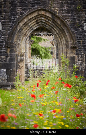 Ein Bogen ehemalige Türrahmen auf Whalley Abbey Ruinen steht, wilden Blumen in Ribble Valley Lancashire wachsende Stockfoto