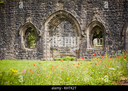 Ein Bogen ehemalige Türrahmen auf Whalley Abbey Ruinen steht, wilden Blumen in Ribble Valley Lancashire wachsende Stockfoto