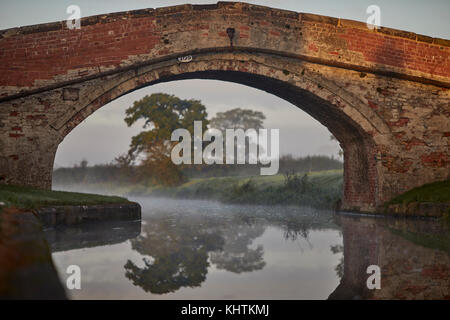 Herbst Nebel Nebel Cheshire, Tiverton, Tarporley. schmale Straße die Shropshire Union Canal Kreuzung durch eine schmale gemauerte Brücke Stockfoto