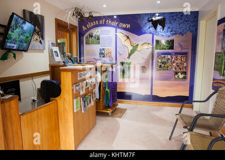 Tolga Bat Hospital. Shop-Interieur. Carrington. Atherton Tablelands. Queensland. Australien. Stockfoto