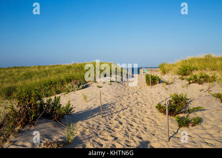 Strand Eingang in Cape Cod Stockfoto