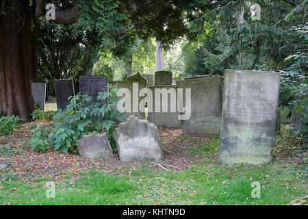 Gräber unter einer Eibe, St Helens Kirche, Darley Dale, Derbyshire, England, Großbritannien Stockfoto