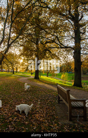 Grosvenor Park & Hilbert Recreation Ground in Tunbridge Wells - die ältesten bekannten lokalen öffentlichen Park - versteckt, aber bietet hervorragende Annehmlichkeiten Raum Stockfoto