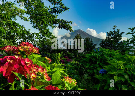 Blick auf den Mount Fuji mit Blumen im Sommer mit blauem Himmel und Clou Stockfoto