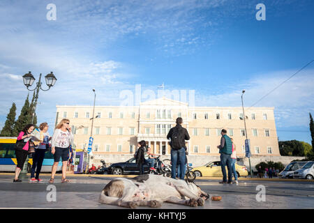 Athen, Griechenland - November 3, 2017: Hund schläft auf dem Syntagma-Platz vor dem Parlament. Dieser Platz ist eine der wichtigsten Sehenswürdigkeiten von Athen, Ca Stockfoto