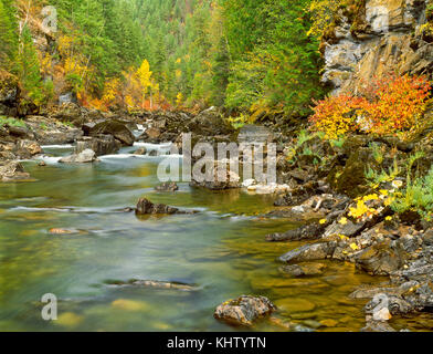 Herbst Farben entlang der yaak River in der Nähe von Troy, Montana Stockfoto