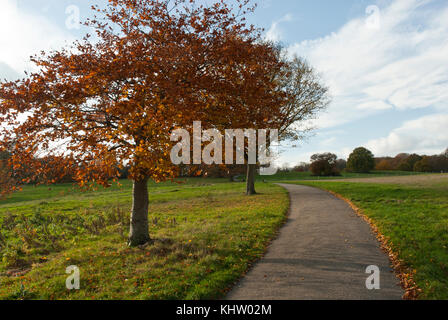 Einen einladenden Weg durch das Parlament hill Felder, Hampstead Heath, vorbei an Bäumen mit goldenen herbstlichen Farben und warmen Herbst Sonne. Stockfoto