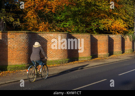 Crinkle crankle Wand, im Herbst, Auge, Suffolk, Großbritannien fotografiert. Stockfoto