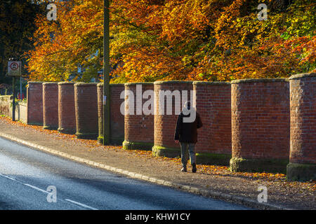 Crinkle crankle Wand, im Herbst, Auge, Suffolk, Großbritannien fotografiert. Stockfoto