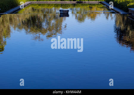 Bäume wider abstrakt im Pool. Stockfoto