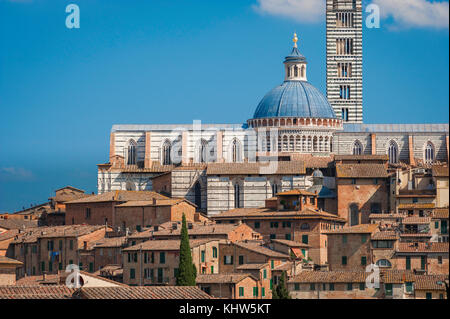 Siena Italien, mit Blick auf den Dom und die umliegenden Gebäude in der Skyline der Stadt Siena in der Toskana, Italien. Stockfoto