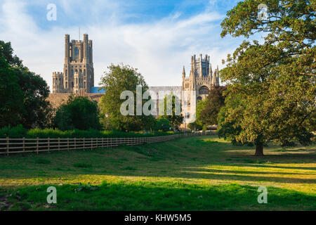 Britische Kathedrale, Ely Kathedrale in Cambridgeshire, England, von der umliegenden Parklandschaft aus gesehen. Stockfoto