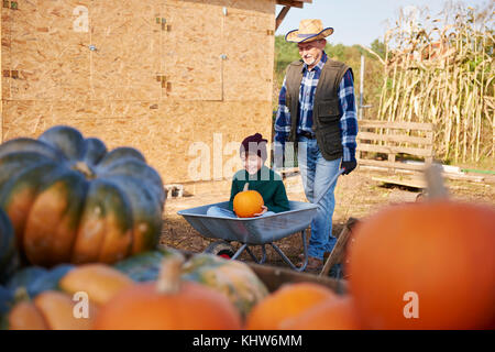 Landwirt und Enkel an Kürbis Farm Stockfoto