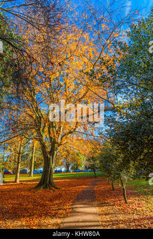 Sonnige Herbst Wetter in Abington Park, Northampton. Stockfoto