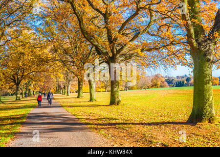 Sonnige Herbst Wetter in Abington Park, Northampton. Stockfoto