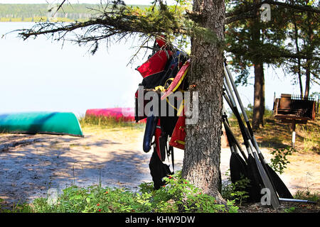 Schwimmwesten hängen in einem Baum trocknen auf einem Campingplatz. Stockfoto