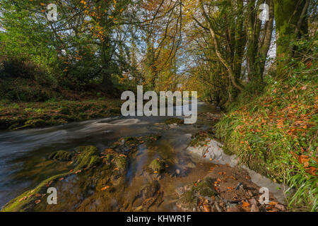 Fluss Avon bei avonwick in South Devon, Großbritannien. Stockfoto