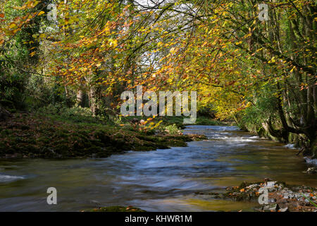 Fluss Avon bei avonwick in South Devon, Großbritannien. Stockfoto