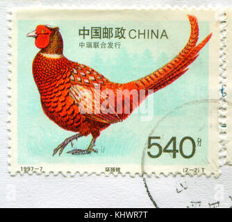 GOMEL, WEISSRUSSLAND, 27. OKTOBER 2017, Briefmarke gedruckt in China zeigt Bild des Vogels, um 1997. Stockfoto