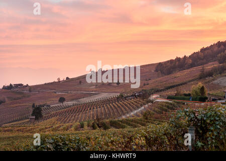 Italien, Piemont, Cuneo, Langhe - Herbstlicher Sonnenaufgang Stockfoto