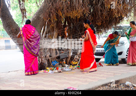 Mwst. Savitri, Frauen binden Thread zum Banyan Tree. Pune, Maharashtra, Indien Stockfoto