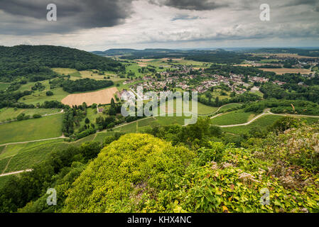 Weinberg aroun das Chateau Chalon, Frankreich, Stockfoto