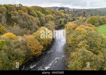 Herbst im Dee Valley in der Nähe von Llangollen, North Wales, UK Stockfoto