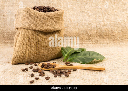 Kleine Kaffee Sack aus Jute mit frisch gerösteten Bohnen gefüllt Stockfoto
