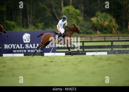 WELLINGTON, FL - MAI 04: Prinz Harry nimmt am Sentebale Polo Cup Teil, der vom Royal Salute World Polo präsentiert wird und am 4. Mai 2016 in Wellington, Florida, auf der Valiente Polo Farm in Wellington, Florida, stattfindet. Personen: Prinz Harry Stockfoto