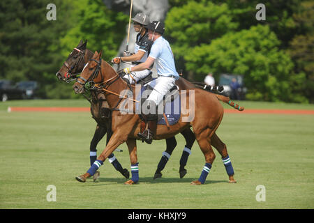 GREENWICH, CT - MAI 15: Prinz Harry von Wales beim Sentebale Royal Salute Polo Cup im Greenwich Polo Club am Mittwoch, den 15. Mai. Das Sentebale Land Rover Team wurde von Royal Salute Ambassador Malcom Borwick mit den Teammitgliedern Mark Ganzi, Michael Carrazza und Prince Harry, einem der Gründungsväter von Sentebale, geführt. Das Poloteam von St. Regis wurde von Sentebales Botschafter Nacho Figueras mit den Teammitgliedern Peter Orthwein, Steve Lefkowitz und Dawn Jones geführt. Royal Salute war Gastgeber einer Reihe von prominenten Prominenten. Royal Salute World Polo ist ein globales Programm, das jetzt Stockfoto