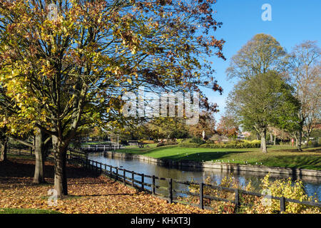 Die droitwich Kanal in Reben Park mit Bäumen im Herbst. Droitwich Spa, Worcestershire, England, Großbritannien, Großbritannien Stockfoto